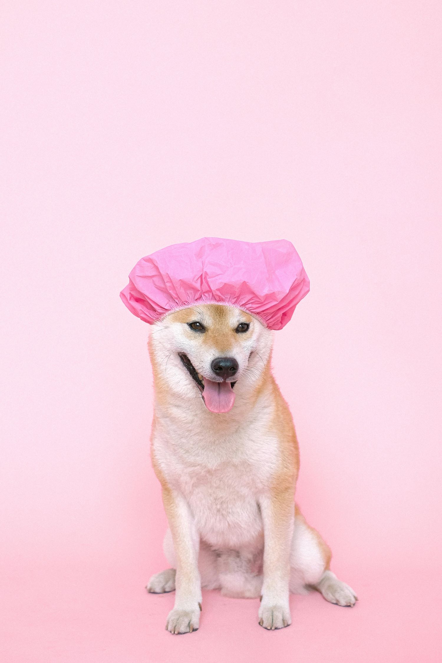 hotel shower cap2